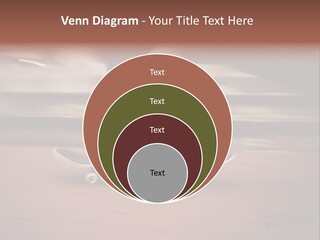 Adrenaline Jeans Sneakers PowerPoint Template