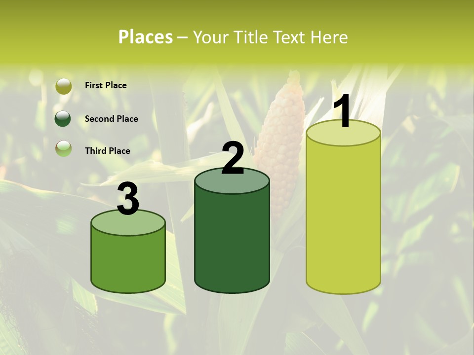 Country Food Outdoor PowerPoint Template