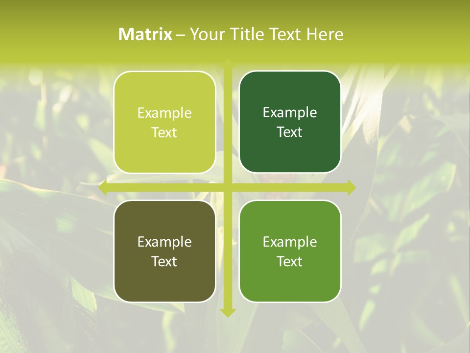 Country Food Outdoor PowerPoint Template