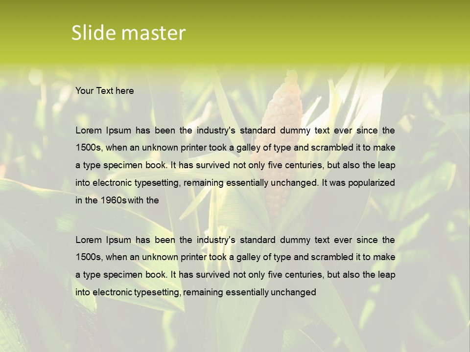 Country Food Outdoor PowerPoint Template