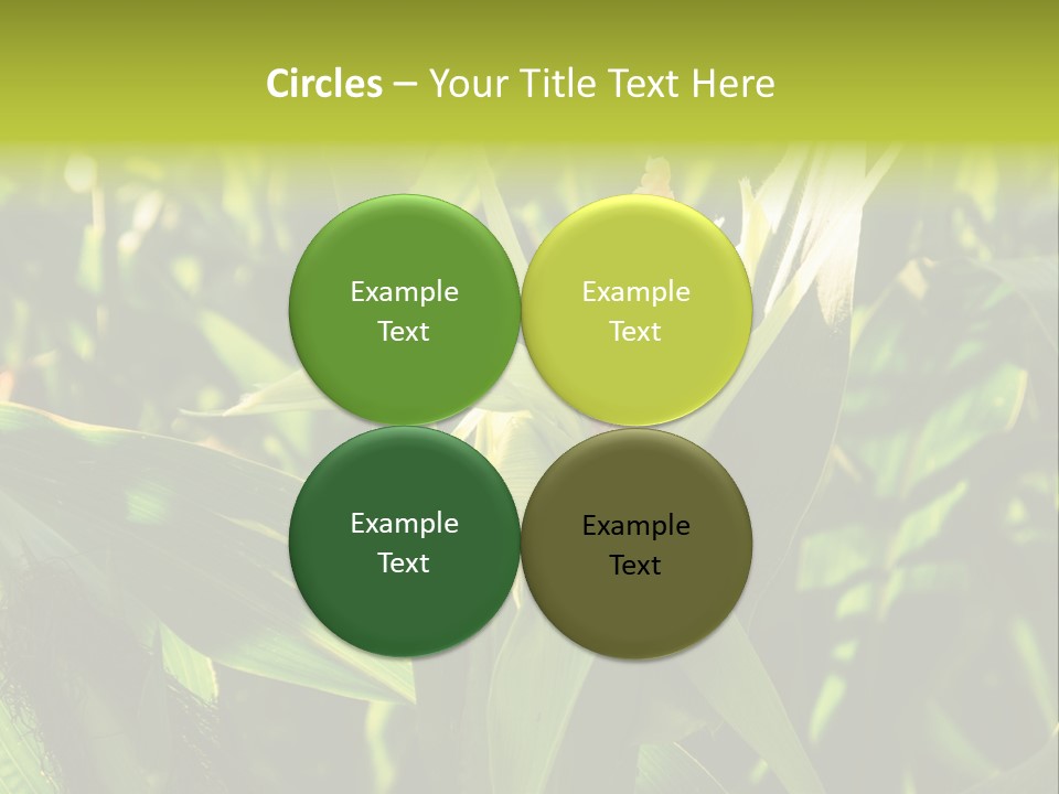 Country Food Outdoor PowerPoint Template