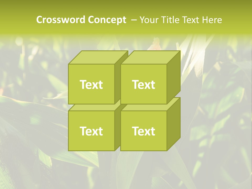 Country Food Outdoor PowerPoint Template