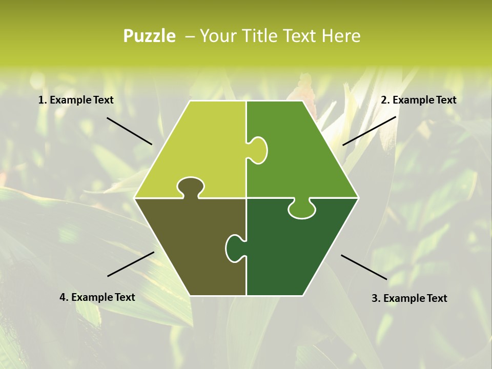 Country Food Outdoor PowerPoint Template