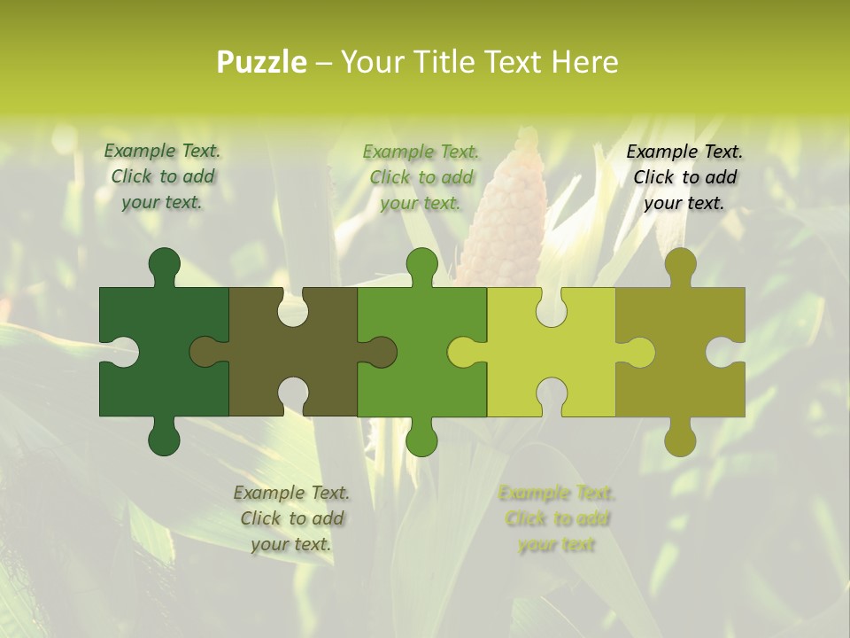 Country Food Outdoor PowerPoint Template