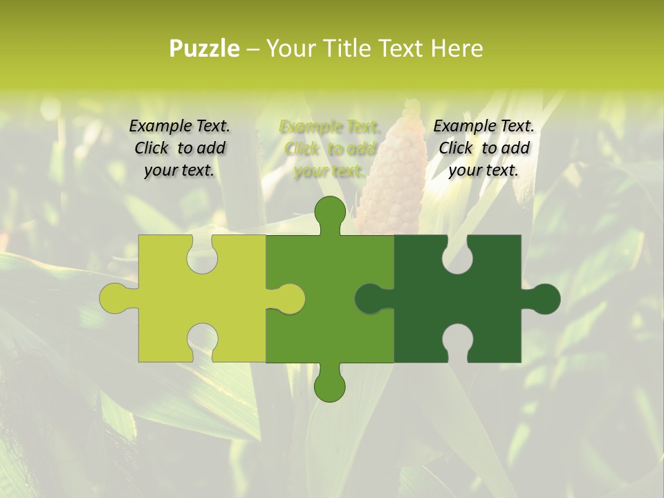 Country Food Outdoor PowerPoint Template