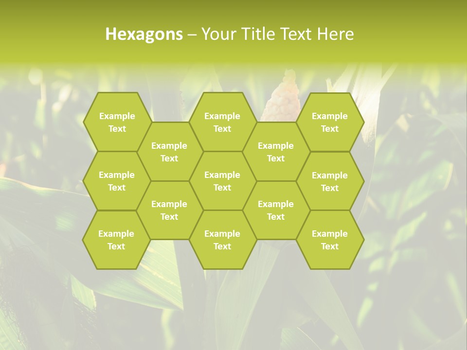 Country Food Outdoor PowerPoint Template