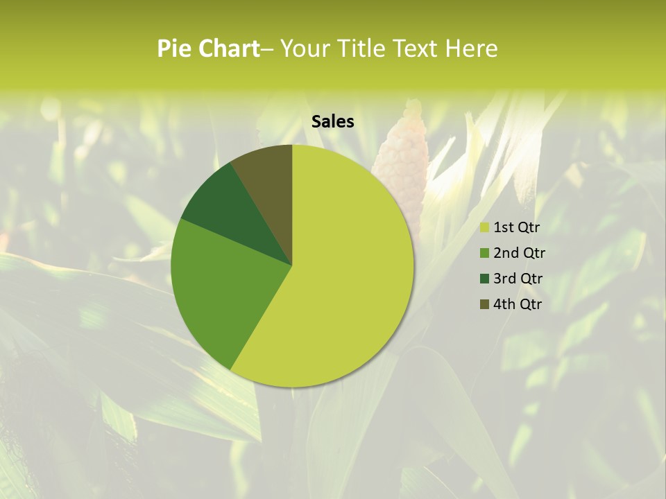 Country Food Outdoor PowerPoint Template