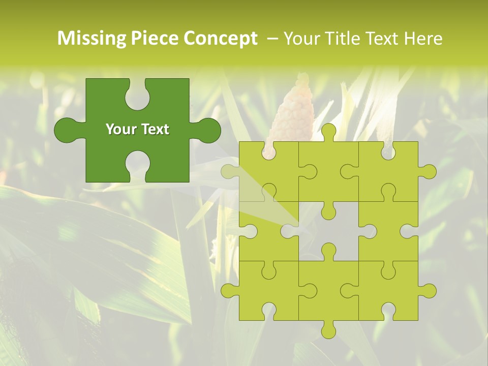 Country Food Outdoor PowerPoint Template