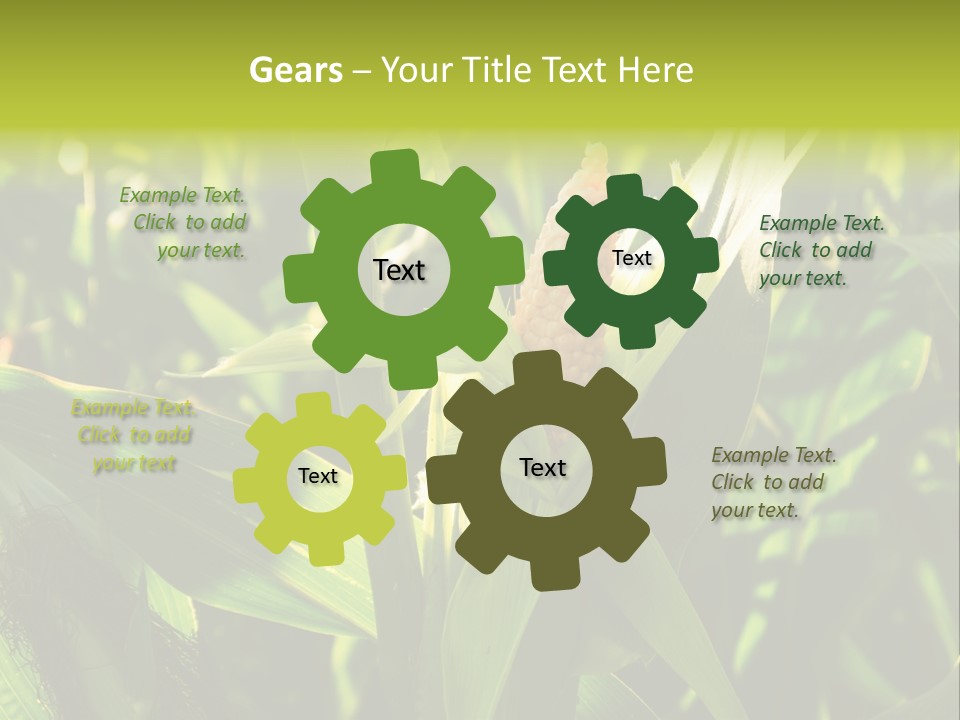 Country Food Outdoor PowerPoint Template