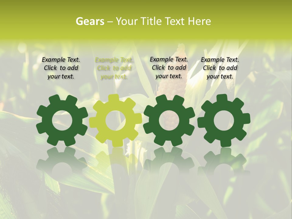 Country Food Outdoor PowerPoint Template