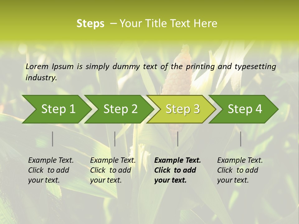 Country Food Outdoor PowerPoint Template
