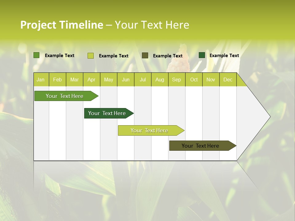 Country Food Outdoor PowerPoint Template