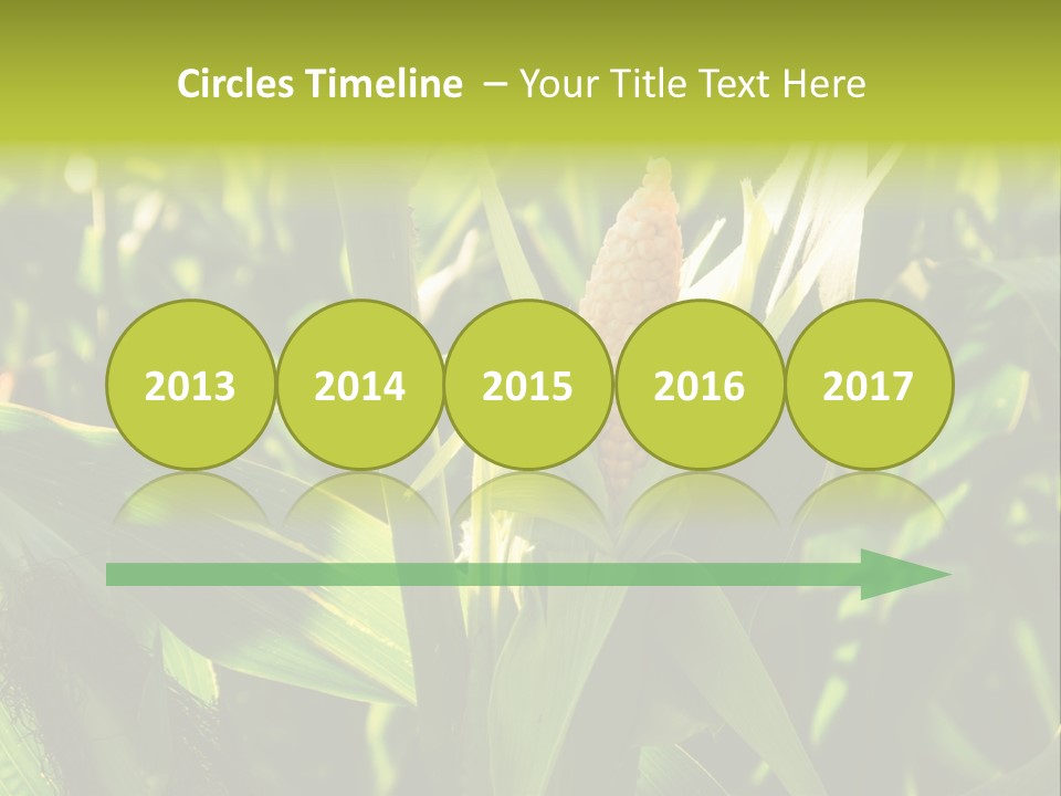 Country Food Outdoor PowerPoint Template