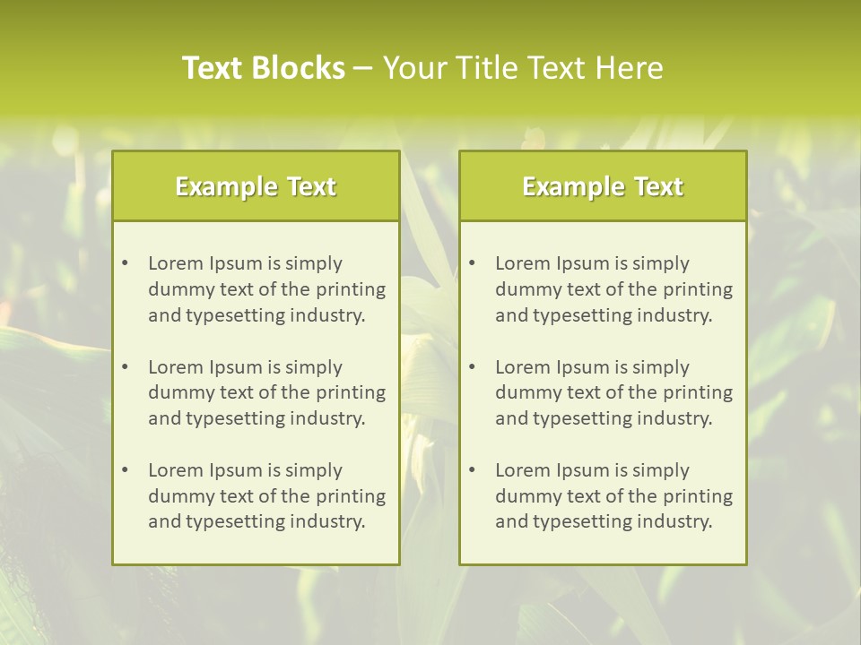 Country Food Outdoor PowerPoint Template