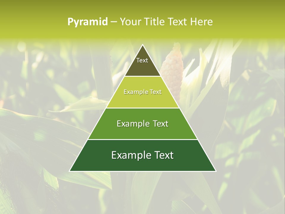 Country Food Outdoor PowerPoint Template