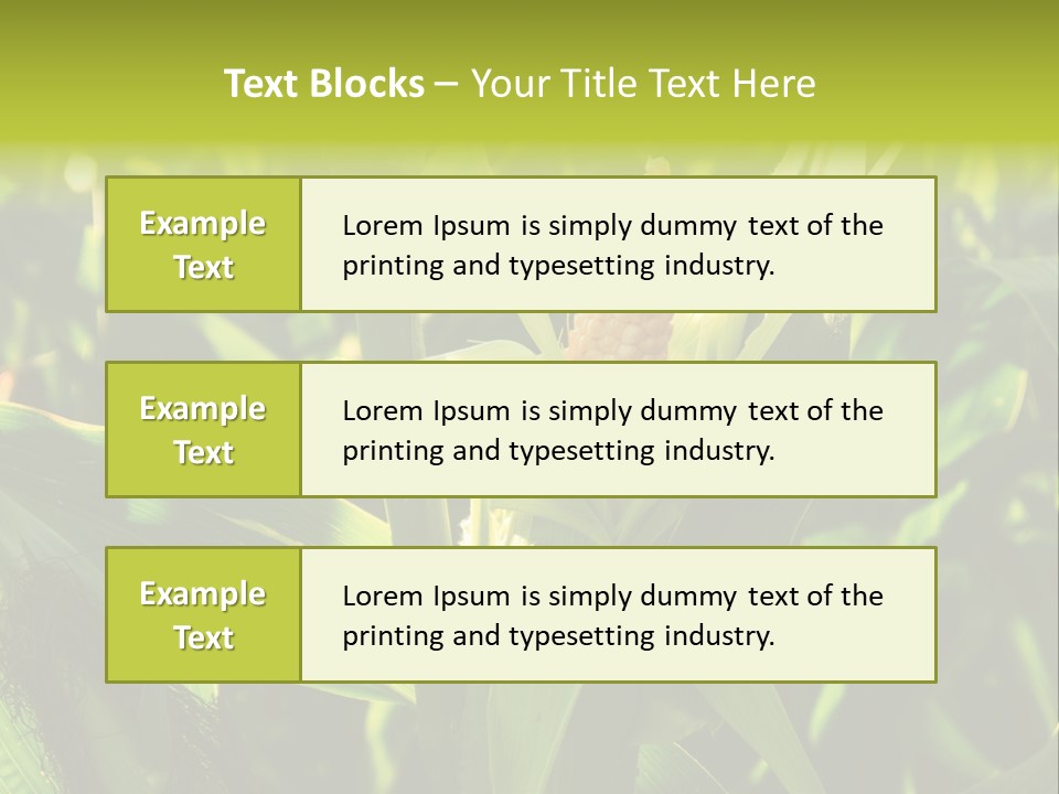 Country Food Outdoor PowerPoint Template