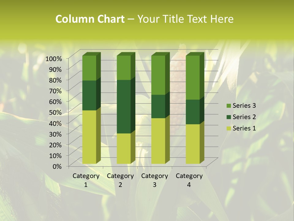 Country Food Outdoor PowerPoint Template