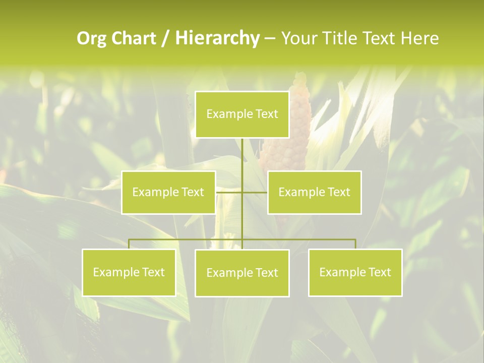 Country Food Outdoor PowerPoint Template