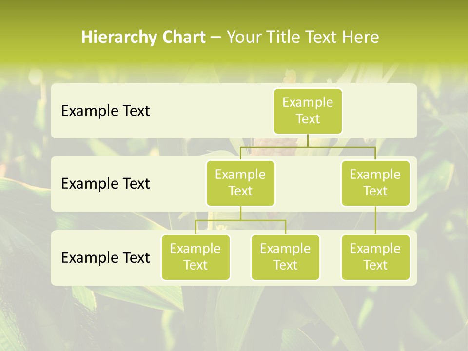 Country Food Outdoor PowerPoint Template