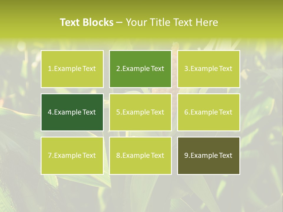 Country Food Outdoor PowerPoint Template