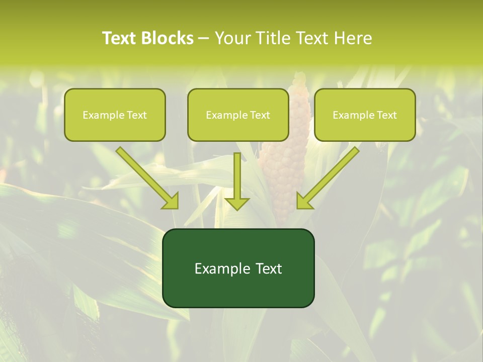 Country Food Outdoor PowerPoint Template