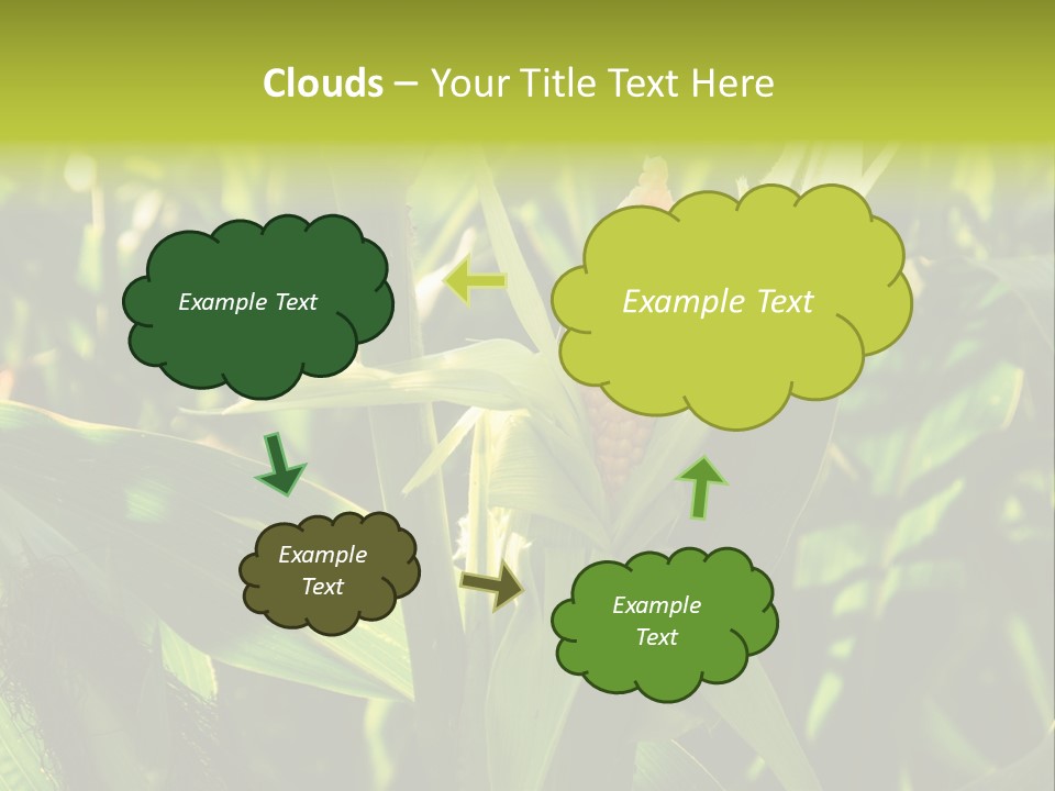Country Food Outdoor PowerPoint Template
