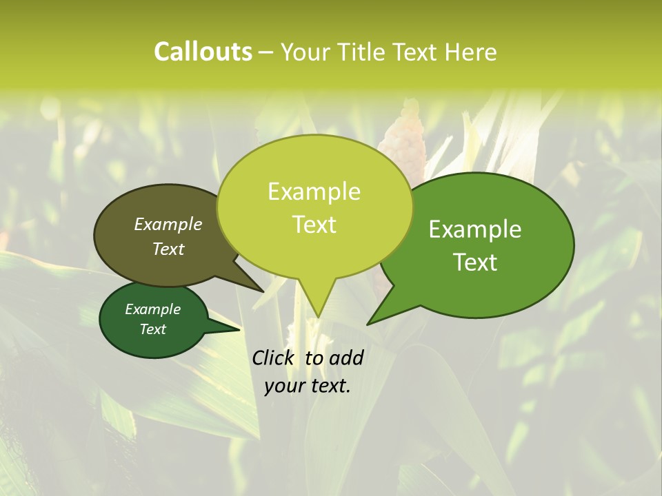 Country Food Outdoor PowerPoint Template