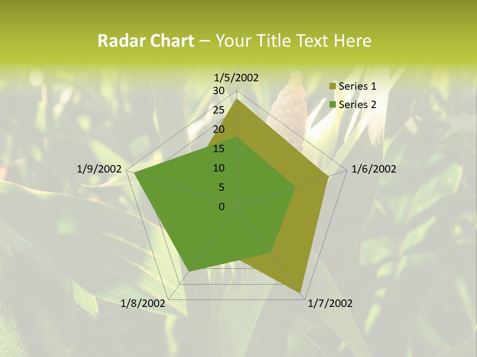 Country Food Outdoor PowerPoint Template