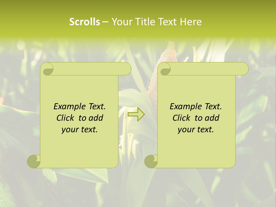 Country Food Outdoor PowerPoint Template