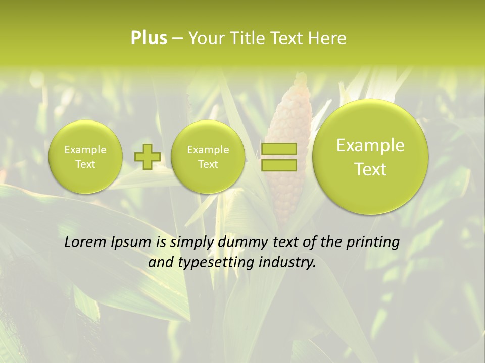 Country Food Outdoor PowerPoint Template