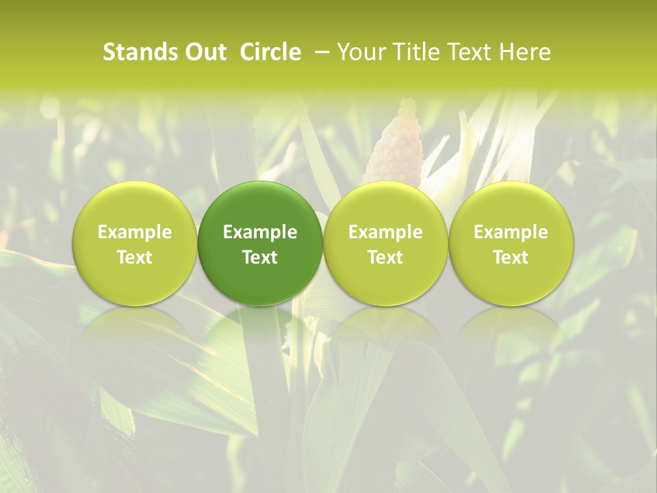 Country Food Outdoor PowerPoint Template