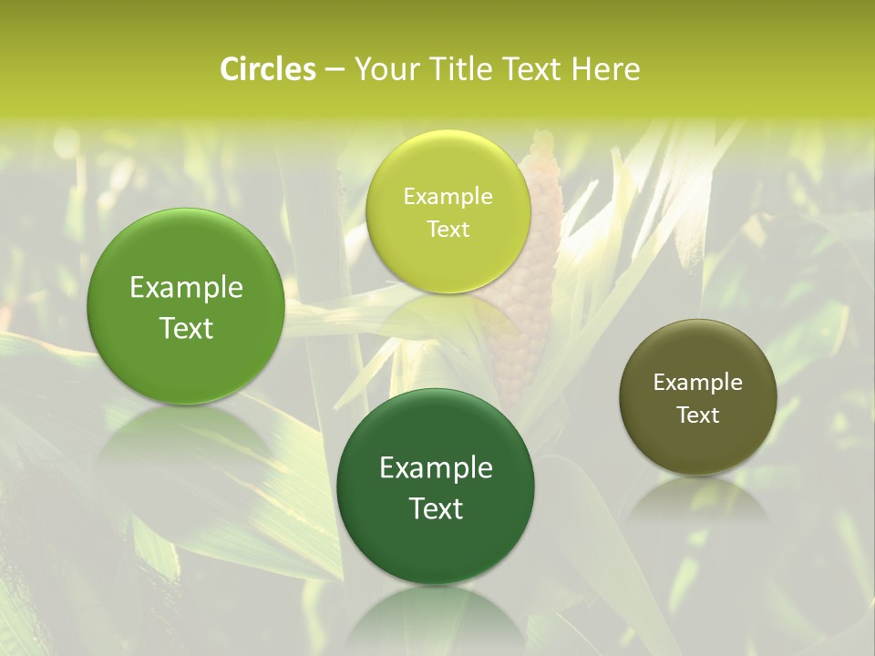 Country Food Outdoor PowerPoint Template