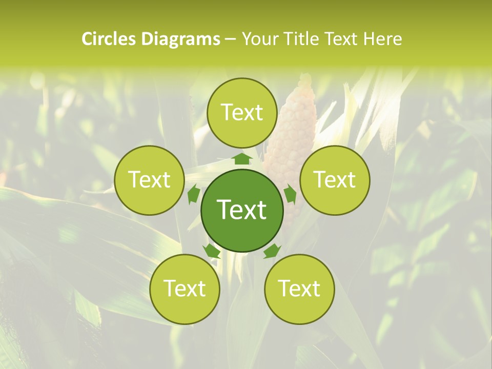 Country Food Outdoor PowerPoint Template