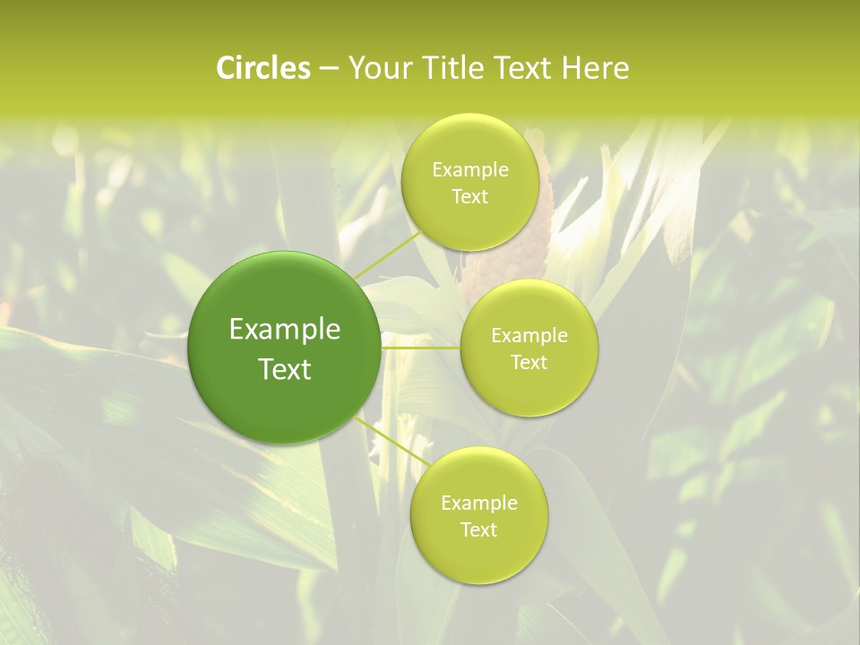 Country Food Outdoor PowerPoint Template