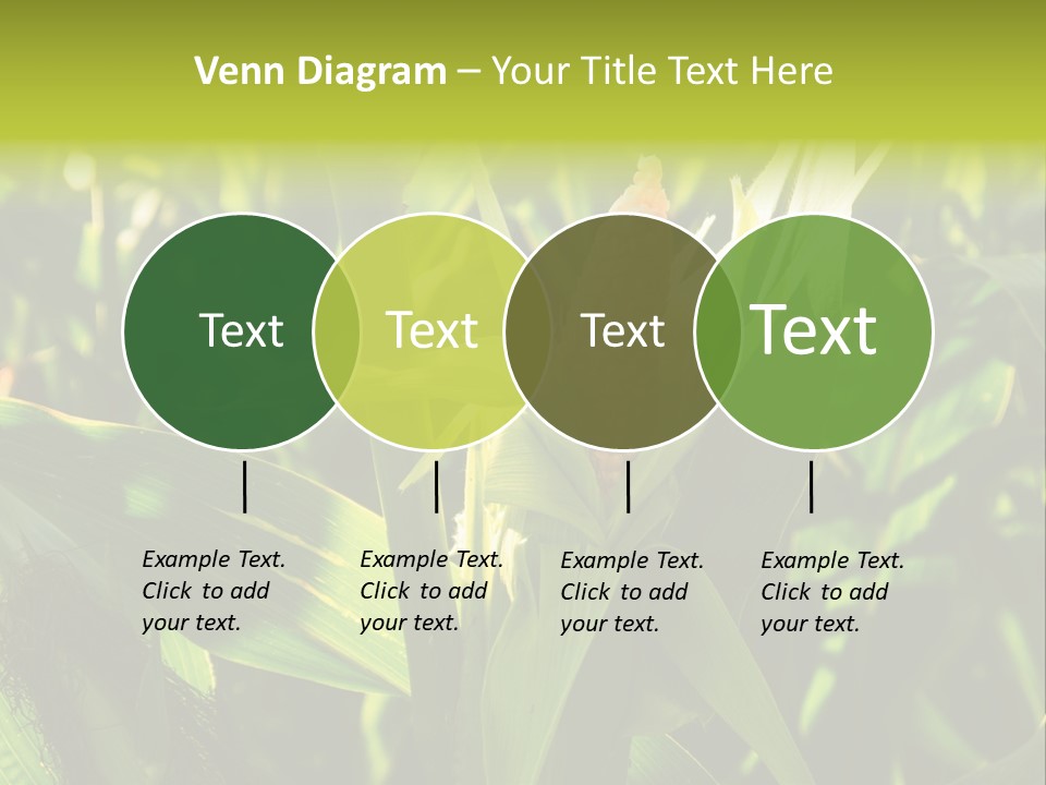 Country Food Outdoor PowerPoint Template