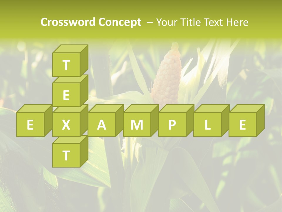 Country Food Outdoor PowerPoint Template