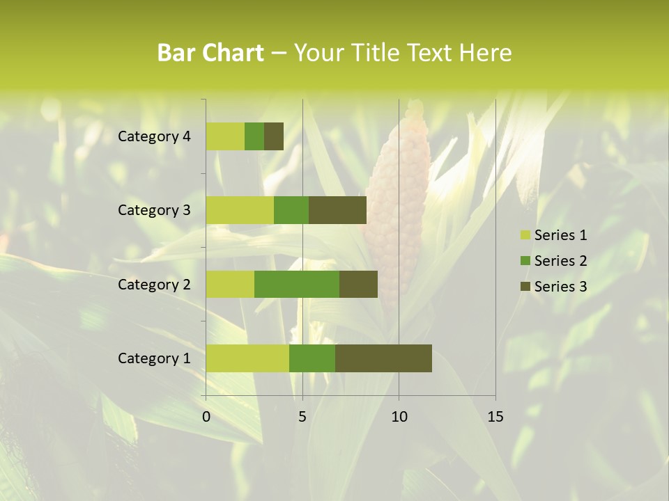 Country Food Outdoor PowerPoint Template