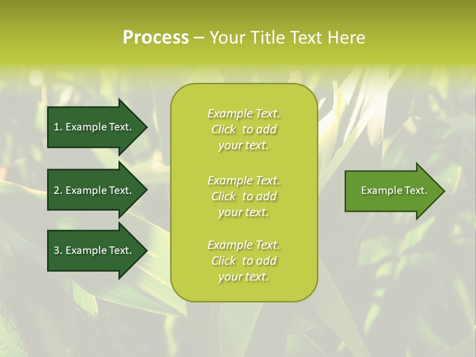 Country Food Outdoor PowerPoint Template