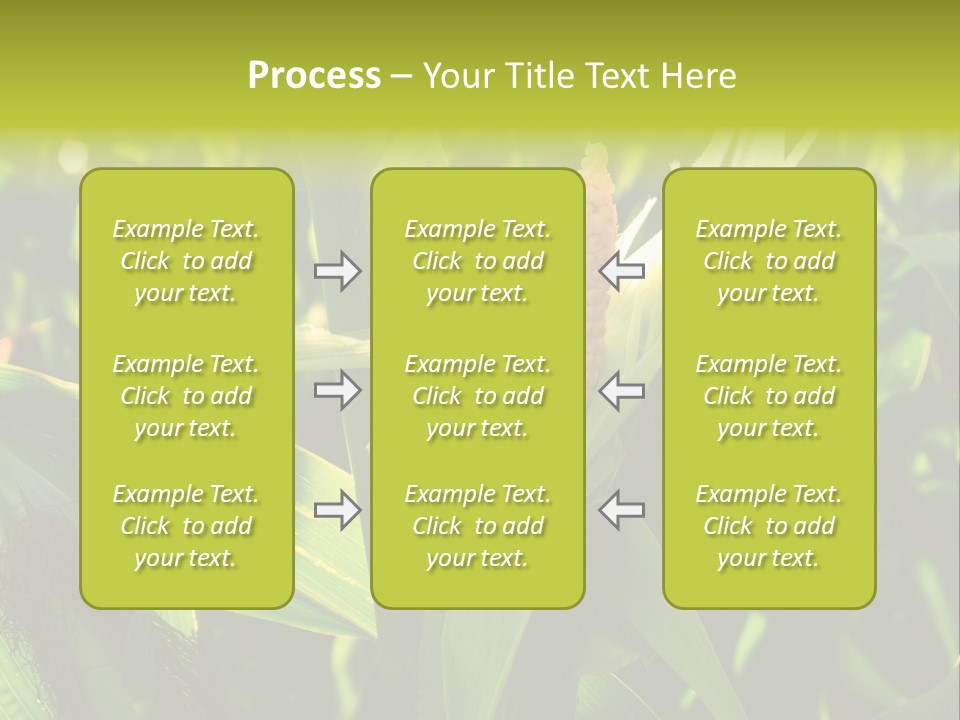 Country Food Outdoor PowerPoint Template