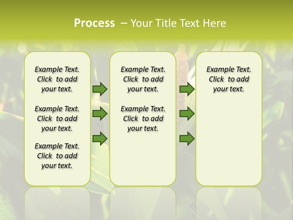 Country Food Outdoor PowerPoint Template