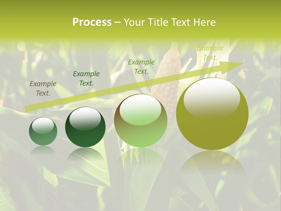 Country Food Outdoor PowerPoint Template