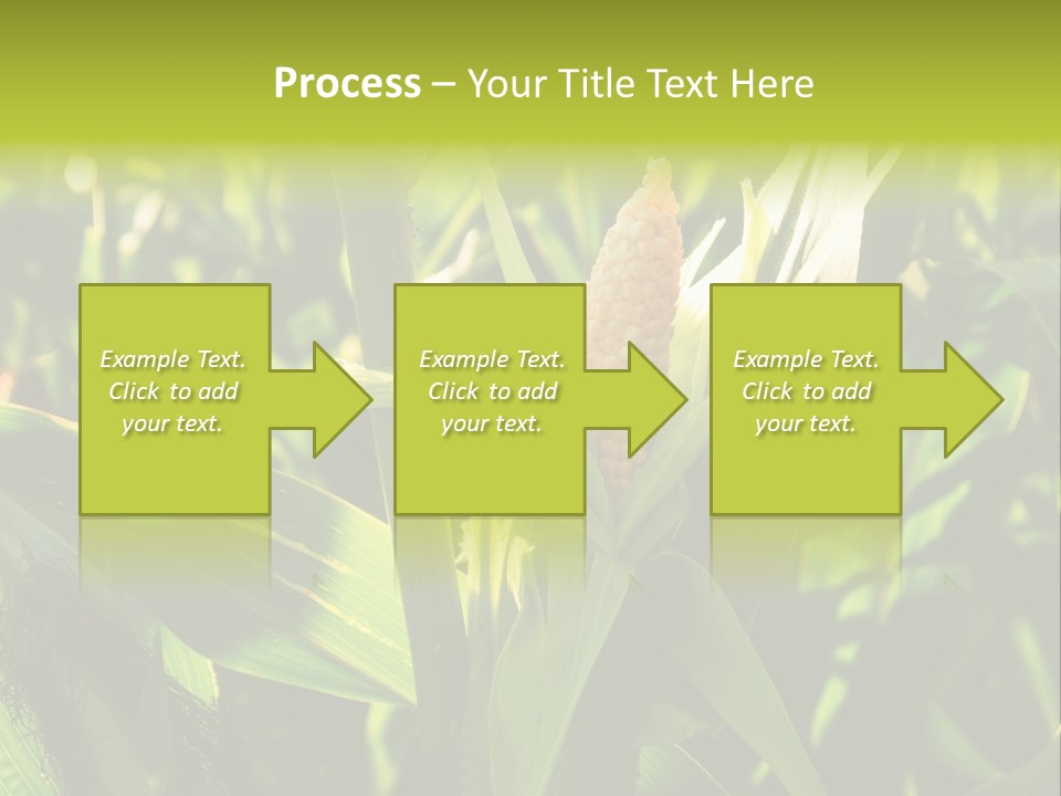 Country Food Outdoor PowerPoint Template