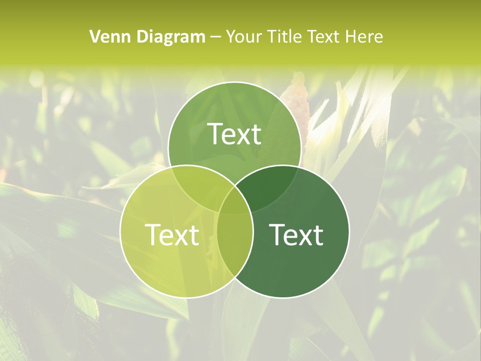 Country Food Outdoor PowerPoint Template