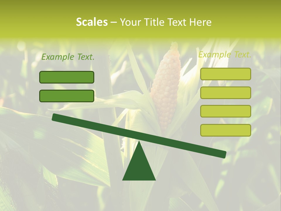 Country Food Outdoor PowerPoint Template