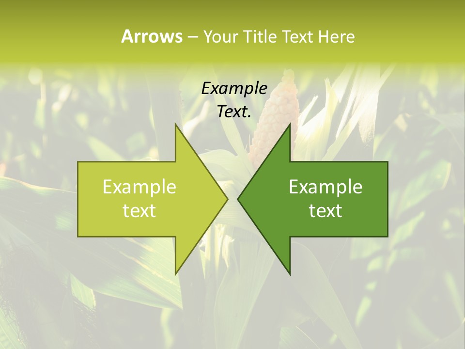 Country Food Outdoor PowerPoint Template