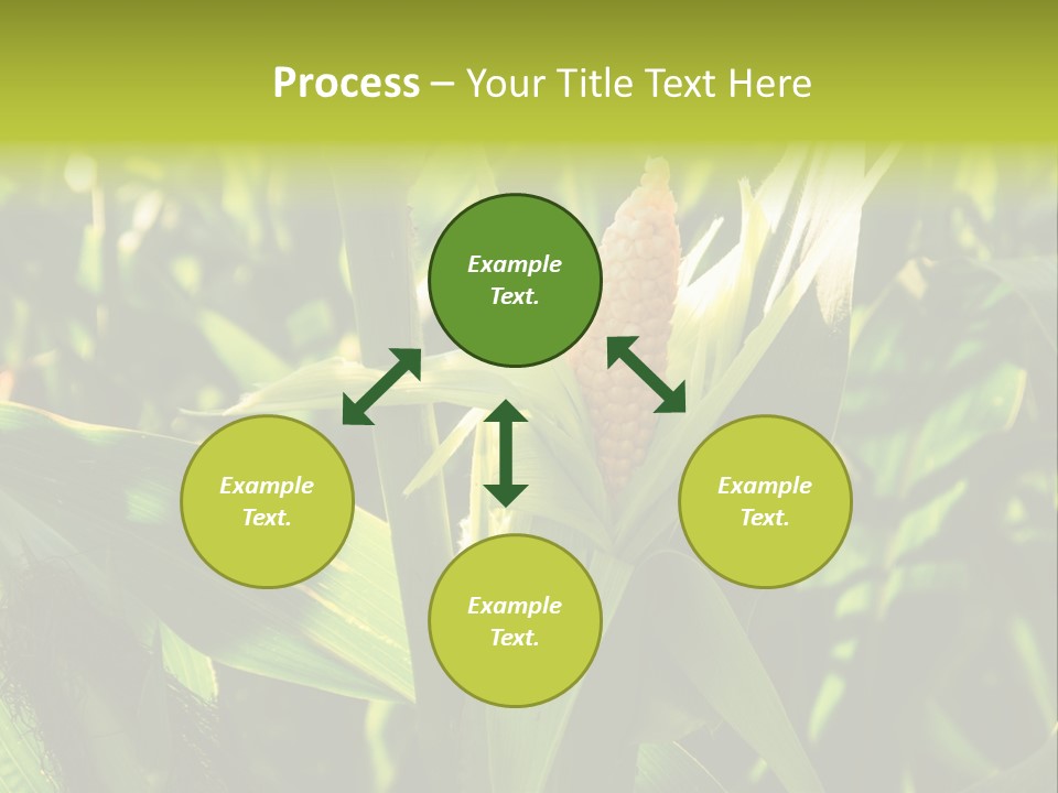 Country Food Outdoor PowerPoint Template