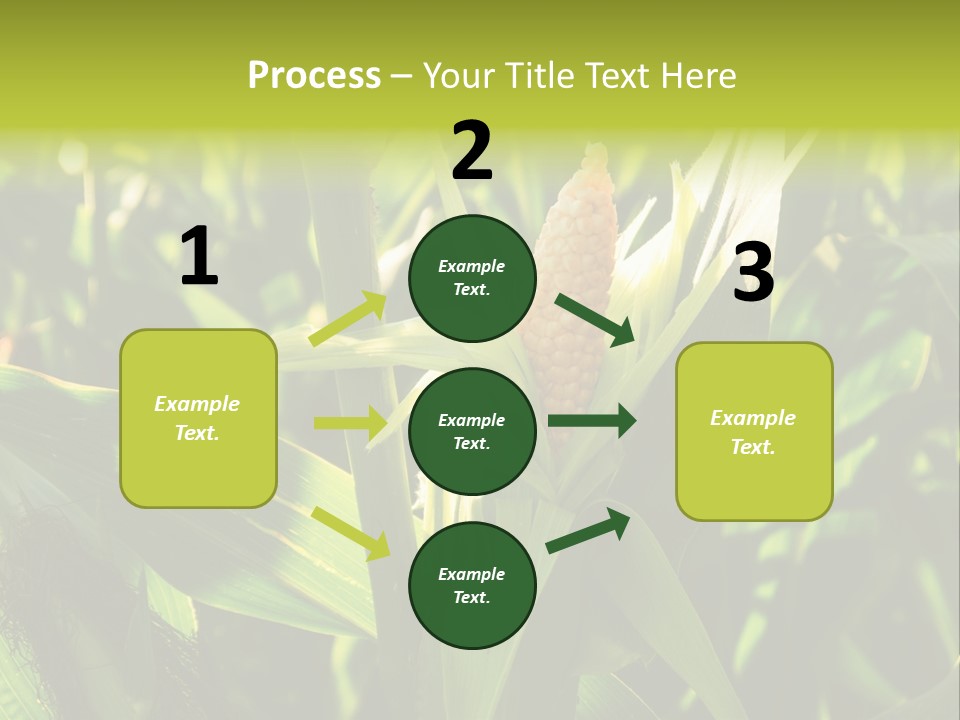 Country Food Outdoor PowerPoint Template