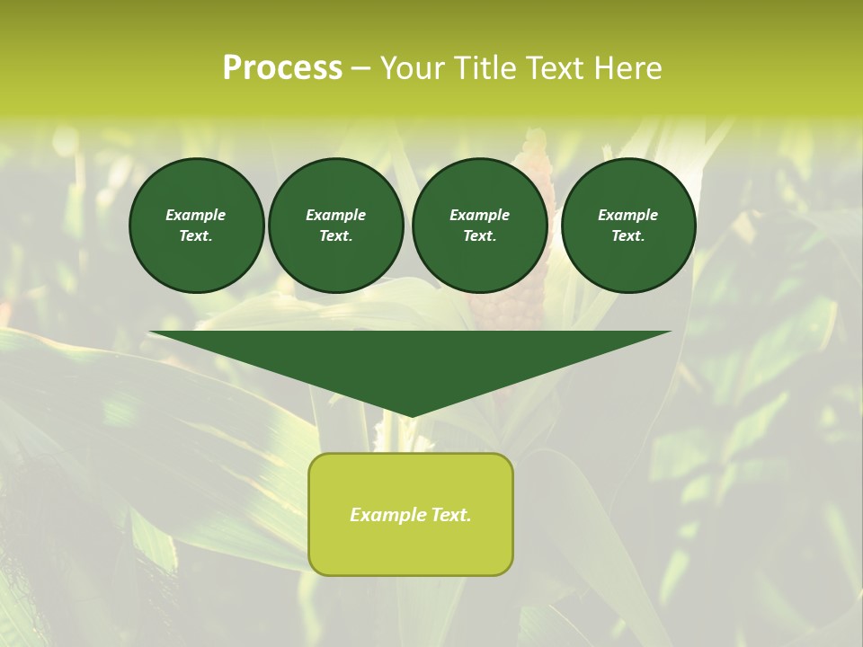 Country Food Outdoor PowerPoint Template