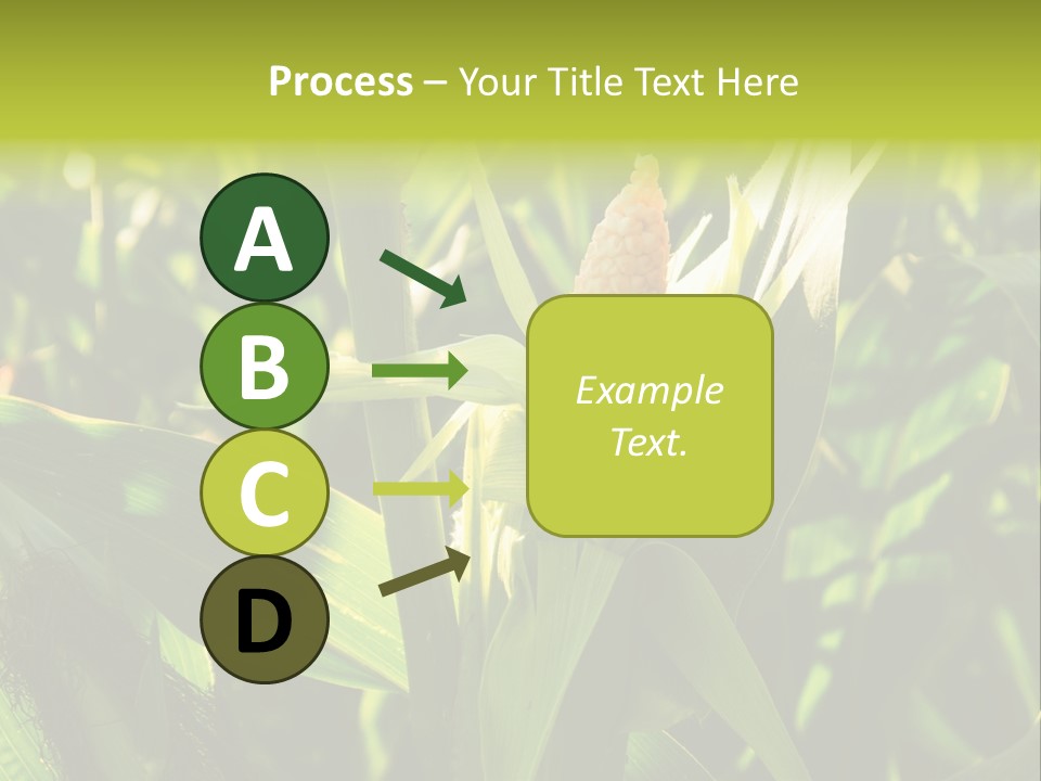 Country Food Outdoor PowerPoint Template