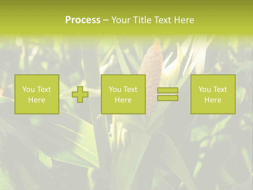 Country Food Outdoor PowerPoint Template